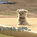 밍키 네이버블로그
