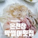 막썰어횟집 | 부산온천동횟집 허심청맛집 온천장 막썰어횟집