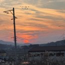 옛날손짜장전문점 | 밥상머리, 강화도 숨은 진주. 드라이브하다 찾음 수타면 짜장면 맛집. 옛날손짜장 내돈내산 방문 후기