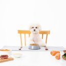 이한펫푸드 이미지