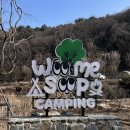 오토존 | [포천 캠핑장 추천] 포천 울미숲 오토캠핑장 벚나무존 후기