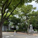 진달래마을 효성센트럴 이미지