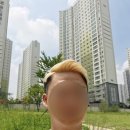 똘레랑스헤어