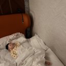 1037 | 영종도 호텔 인스파이어 엔터테인먼트 리조트 투숙 후기(포레스트 타워 1037호)