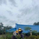 더마실(The마실) 이미지