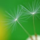 도원아이티 이미지