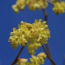 푸른산수목원 이미지