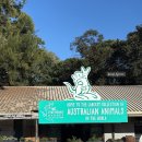 대일빌딩 | [호주/시드니] 3박4일 올빼미 시드니 여행 패더대일 동물원 &amp; 링컨스락 퀸빅토리아빌딩 UGG 쇼핑 후기