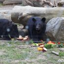 웅담2농장 이미지