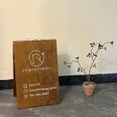 뉴욕필라테스& 요가 | 뉴욕 플라잉요가 필라테스