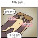 사인기획원