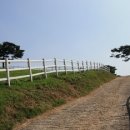 오선농장 이미지