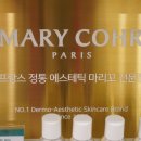 짐피닉스 이미지