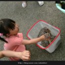 병두 농장 네이버블로그