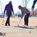 골프로(232) 이미지