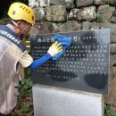 제주 납읍리 난대림 이미지