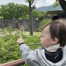 서울대공원 | 과천 아기랑 갈만한곳! 서울대공원 동물원 솔직 후기 &amp; 준비물 꿀팁