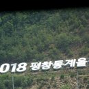 대관령사슴목장 이미지