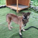 강남해안로 이미지