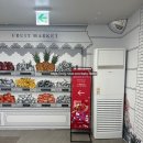 시계박사 엔젤수족관 | 강남 신세계백화점 헬로키티 팝업 스토어 주말 오픈런 웨이팅 꿀팁 드업키 구매 후기!