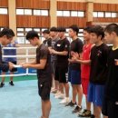 한국체대복싱 이미지