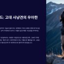 우아한개 이미지