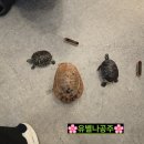 운동공간수 이미지