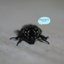 여우골농장 이미지