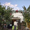 어린왕자민박 이미지