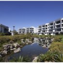 펠리스타운 이미지