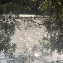 다비치안경 구리교문점 이미지