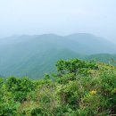 미산1 이미지
