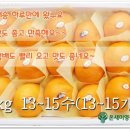 온새미영농조합법인 이미지