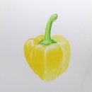 보타니컬아트(식물세밀화) 이미지