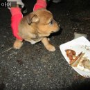 노암세차장 이미지