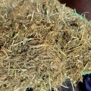 상하 금성목장 이미지