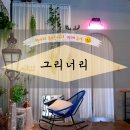 BHC 춘천호탤공지천점 | 춘천 공지천 감성 있는 카페! 그리너리
