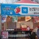 건양농장 | 논산딸기축제 3월 26일 ~ 3월 29일 다녀온후기