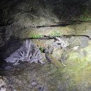 페리독 | 이시가키 나이트투어 정글투어 내돈내산 6살 아이랑 후기