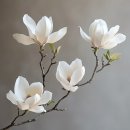 🌷Magnolia song by (ft. John Mayer)_Eric Clapton 이미지