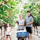 민영이네 이미지