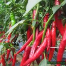 영월고등학교 이미지