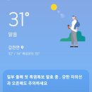 동가래별빛 이미지