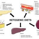 Re:Effects of Ketogenic Diets on Cardiovascular Risk Factors: Evidence from Animal and Human Studies 이미지