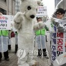 벨기에 "거리에 버려진 담배꽁초 청소비용, 담배회사가 내라" 이미지