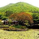 죽림리경로당 이미지