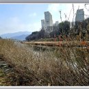 날마다 생일민박 이미지