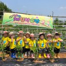 아이조아어린이집 이미지