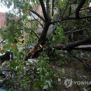 고목경로당 연합뉴스
