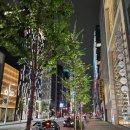 도큐모텔 | [신사유람단] 도쿄 방문기